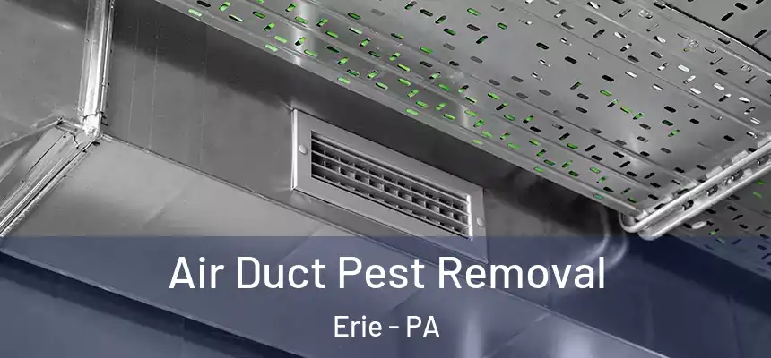  Air Duct Pest Removal Erie - PA