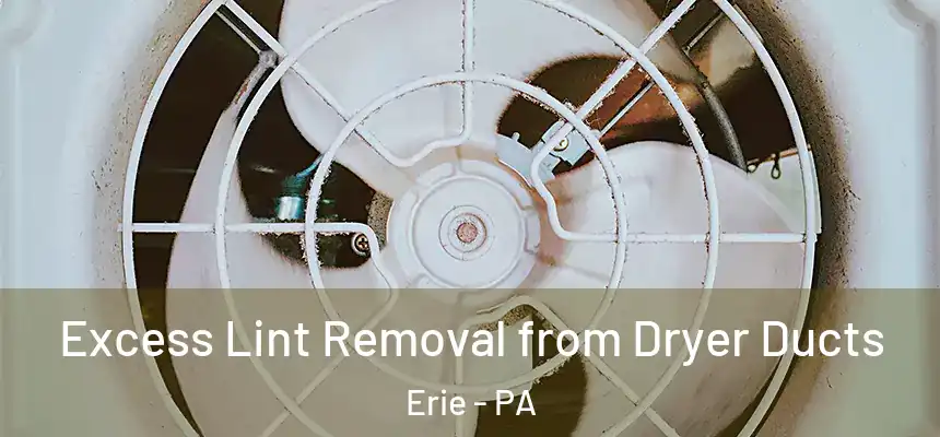  Excess Lint Removal from Dryer Ducts Erie - PA