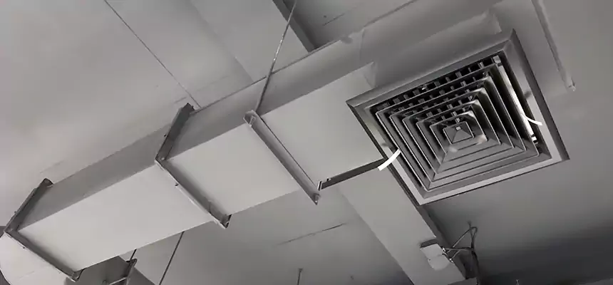 Our Pest Removal From Ducts Services in Erie, PA