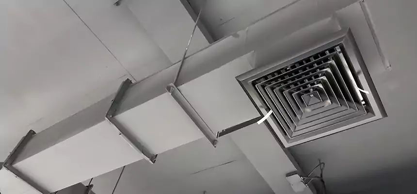 Our Rodent Droppings In Vents Services in Erie, PA