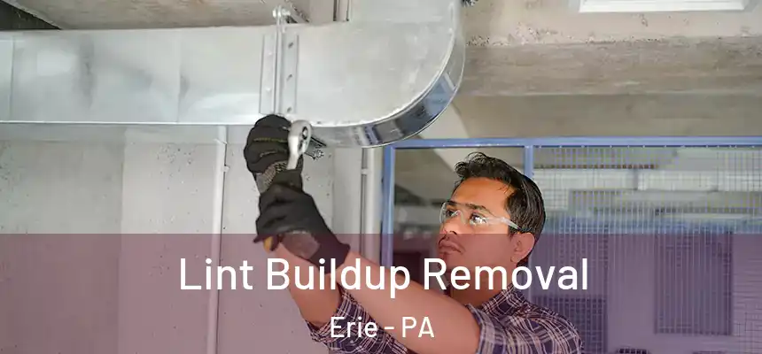Lint Buildup Removal Erie - PA