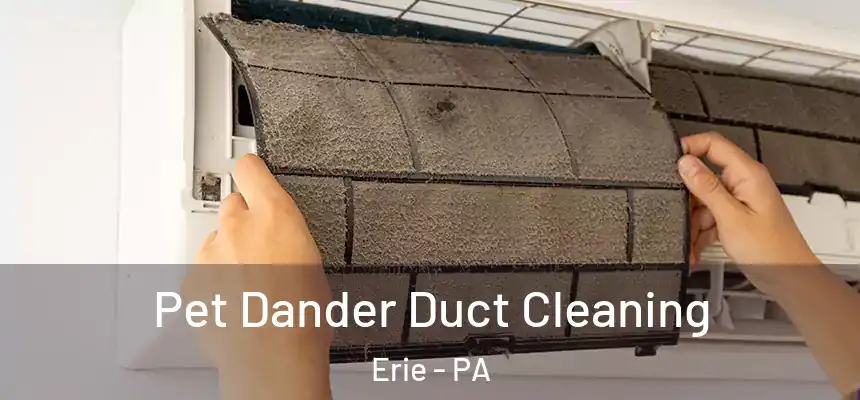  Pet Dander Duct Cleaning Erie - PA