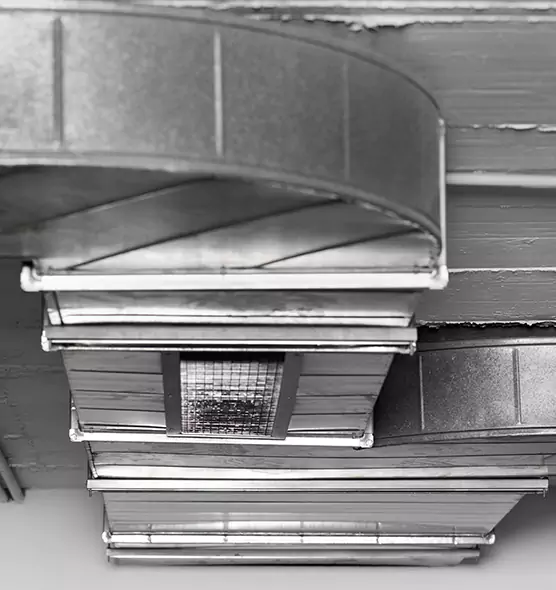 Professional Air Duct Pest Removal in Erie, PA