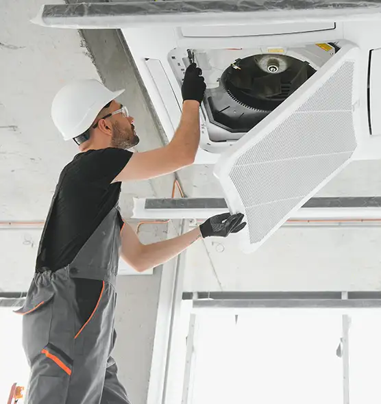 About Air Duct Rodent Removal in Erie, PA