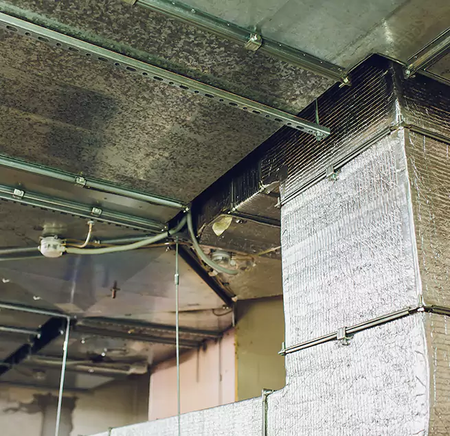 Why Homeowners & Businesses Trust Us in Erie, PA?